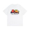 STUSSY 스투시 FRUIT 로고 반팔티셔츠